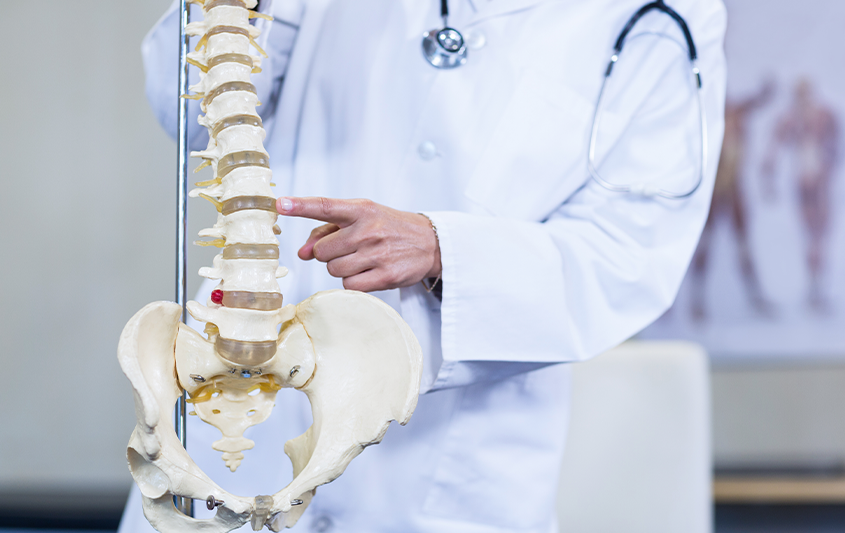 Estruturas ósseas e articulares da coluna vertebral (cervical, torácica e lombosacra)